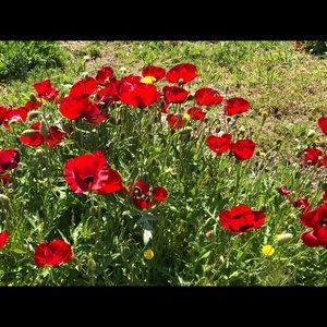 Meet your Posher, Christian